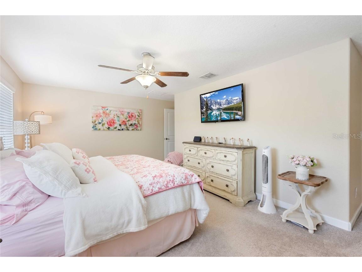 17365 Old Tobacco Road Lutz FL 33558 TB8412828 image25