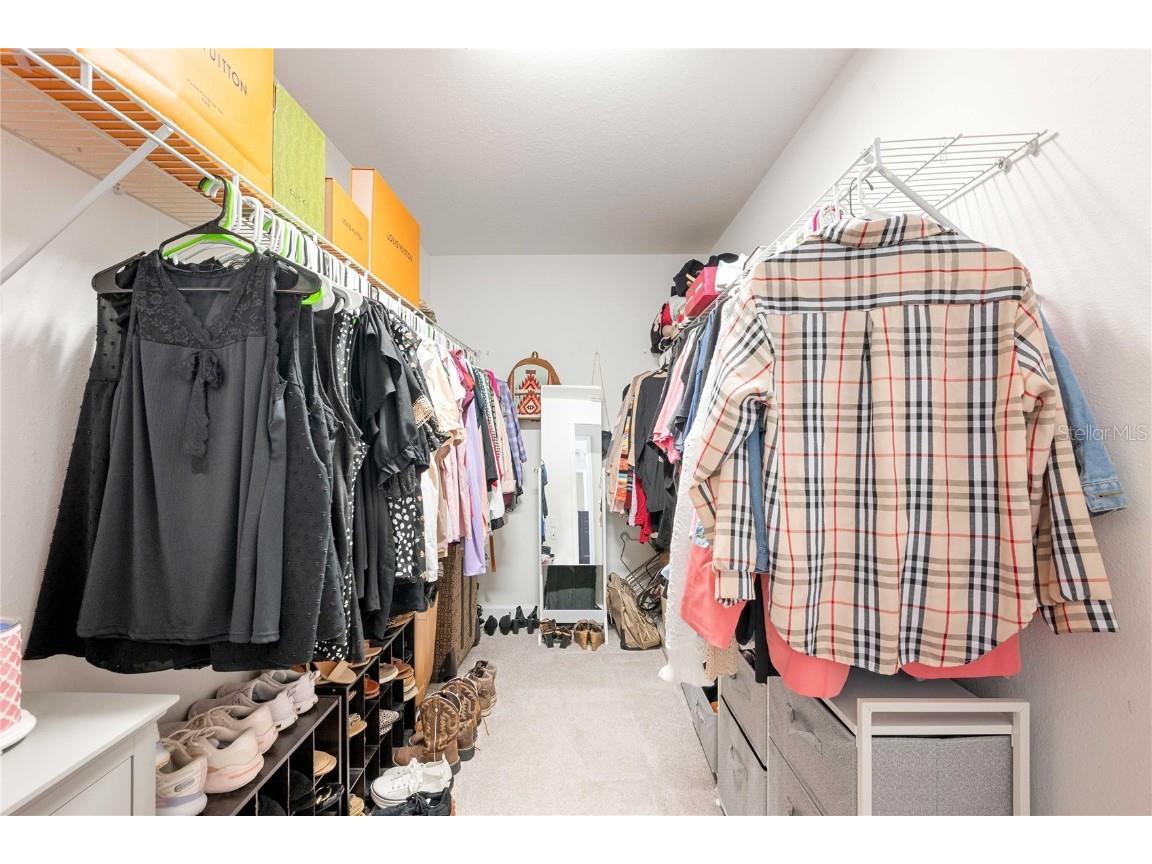 17365 Old Tobacco Road Lutz FL 33558 TB8412828 image26