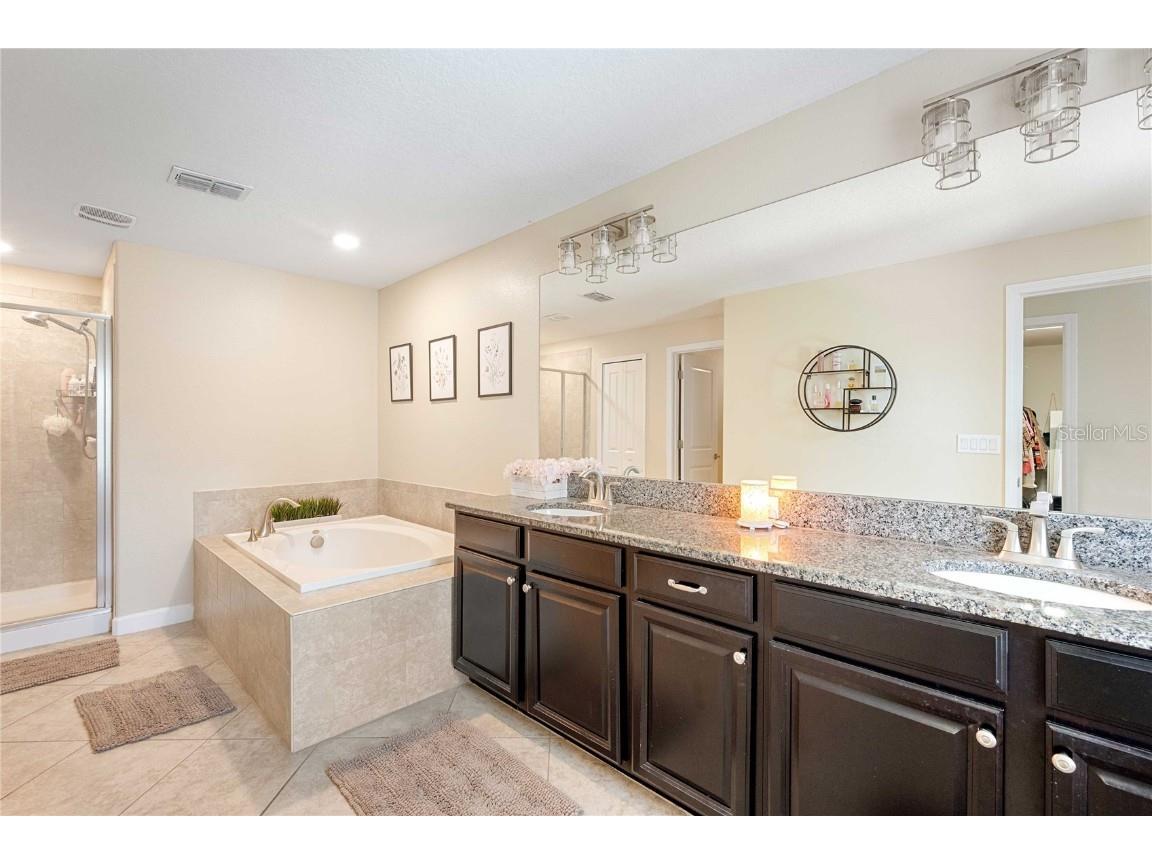 17365 Old Tobacco Road Lutz FL 33558 TB8412828 image27