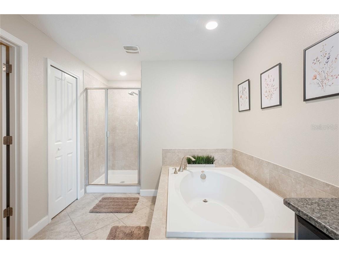 17365 Old Tobacco Road Lutz FL 33558 TB8412828 image28