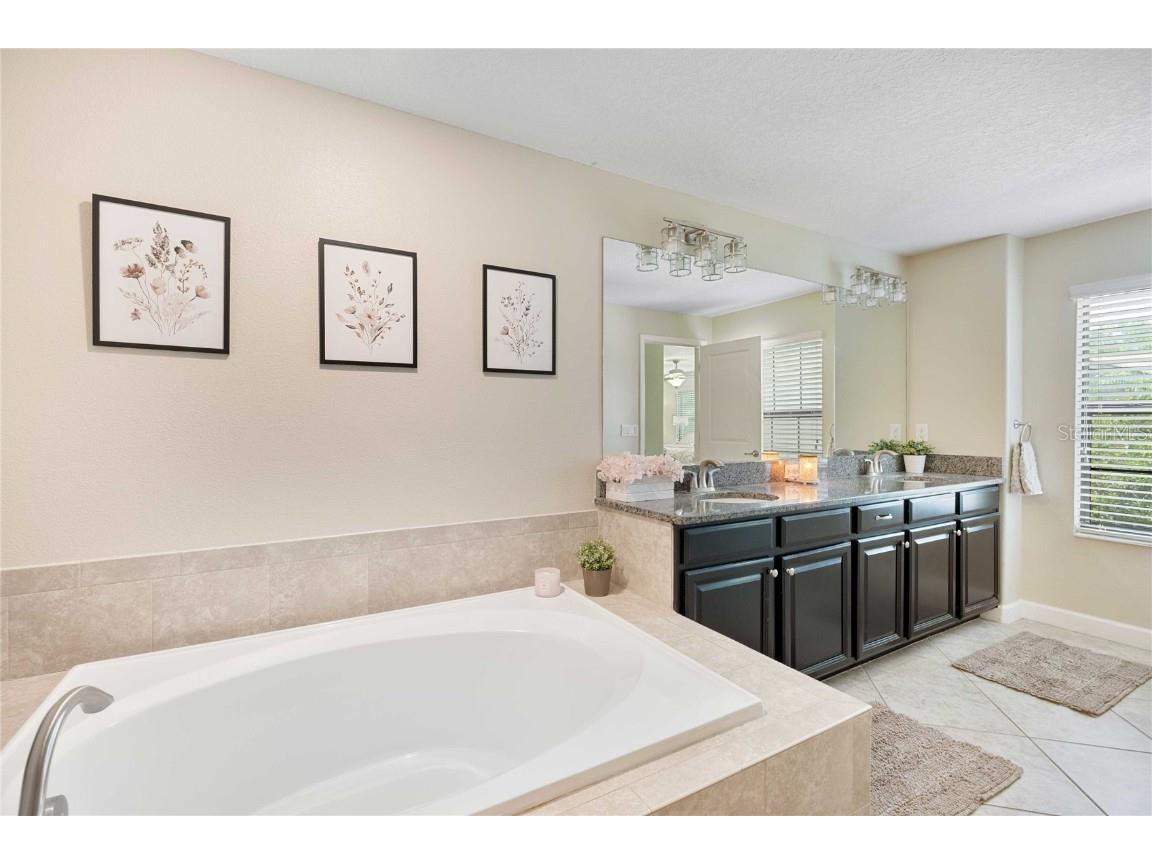 17365 Old Tobacco Road Lutz FL 33558 TB8412828 image29