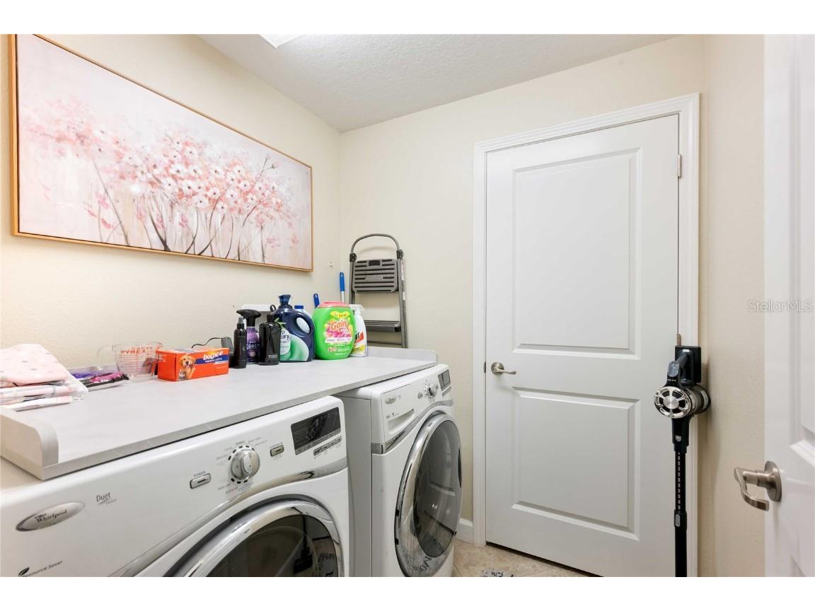 17365 Old Tobacco Road Lutz FL 33558 TB8412828 image30