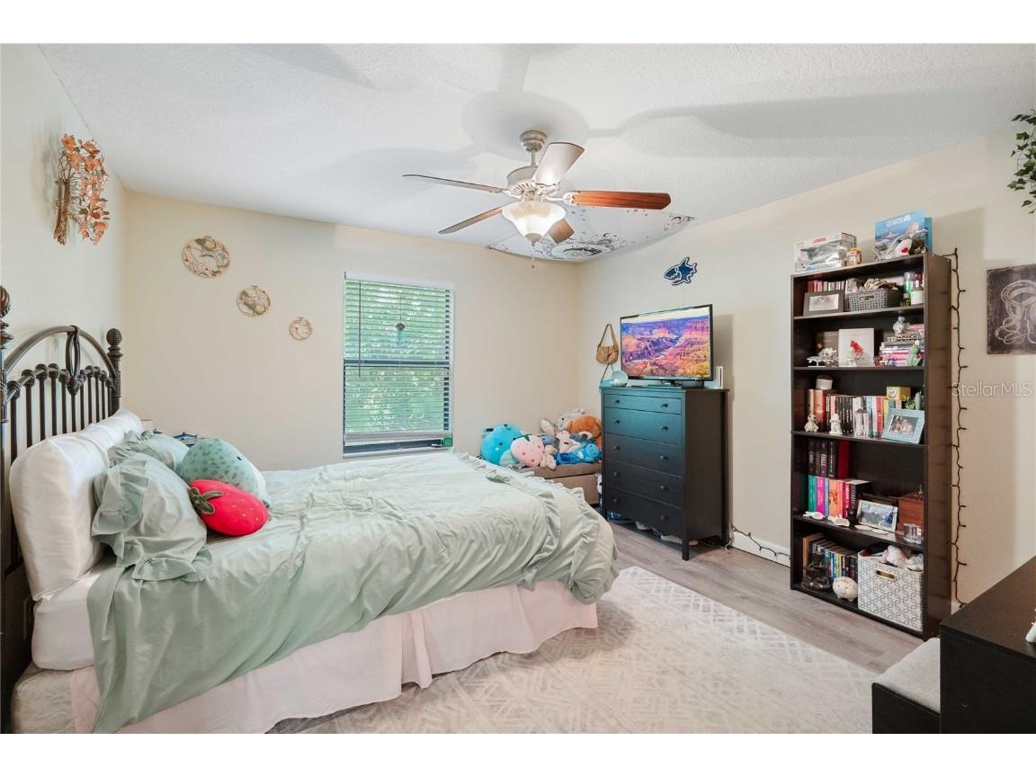 17365 Old Tobacco Road Lutz FL 33558 TB8412828 image33