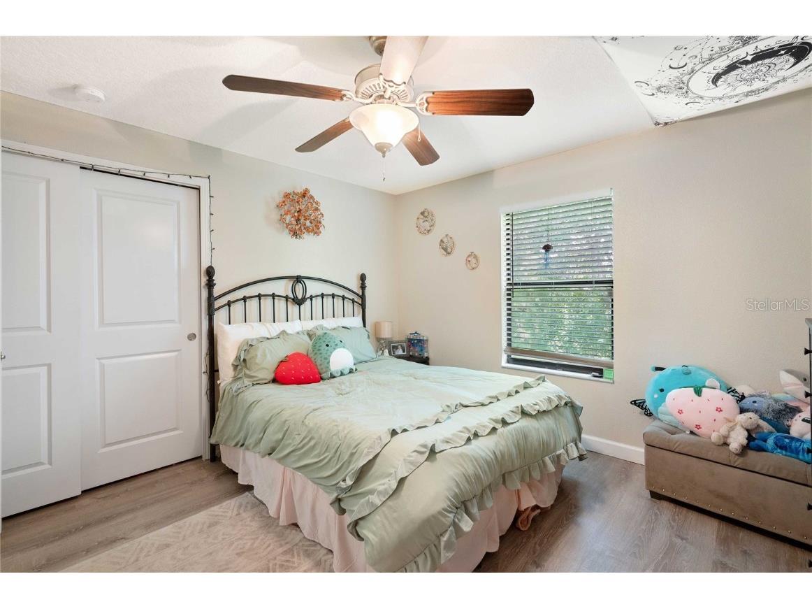 17365 Old Tobacco Road Lutz FL 33558 TB8412828 image34