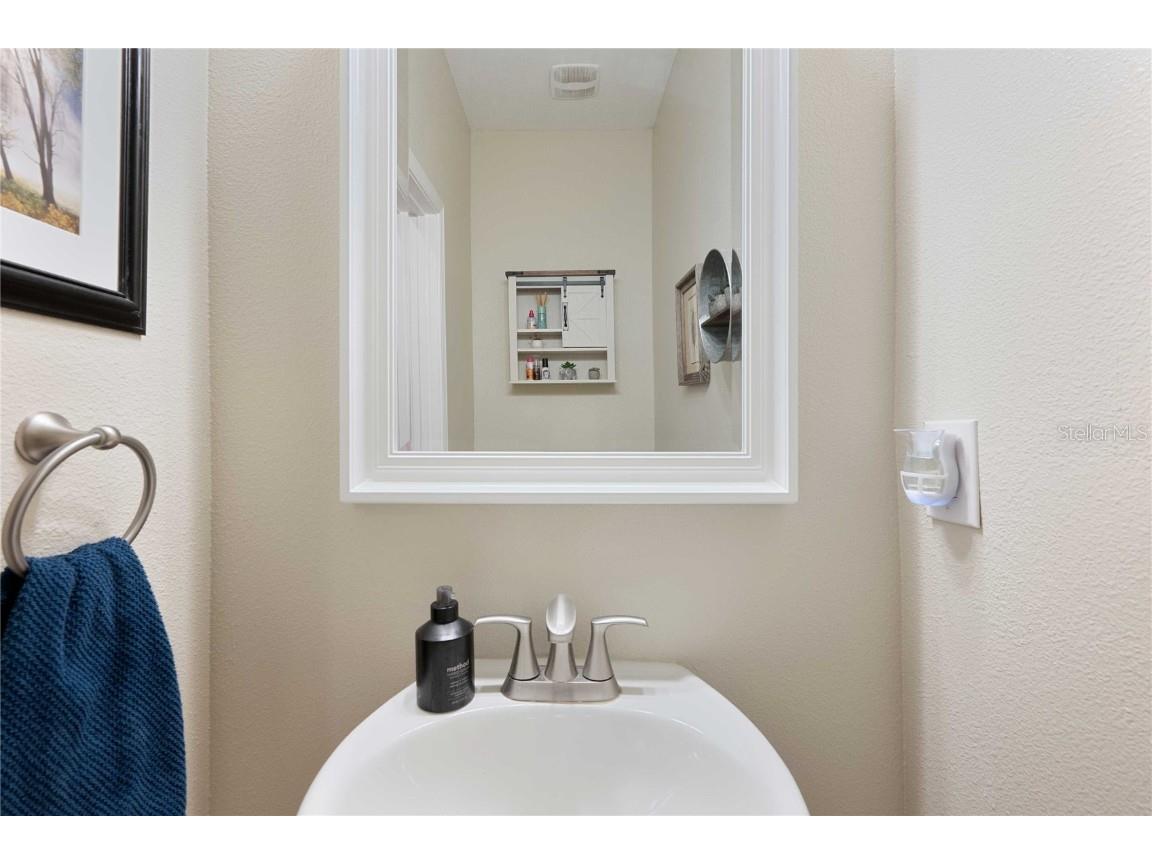 17365 Old Tobacco Road Lutz FL 33558 TB8412828 image37