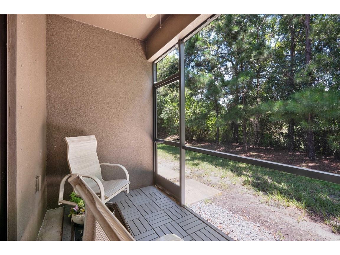 17365 Old Tobacco Road Lutz FL 33558 TB8412828 image38