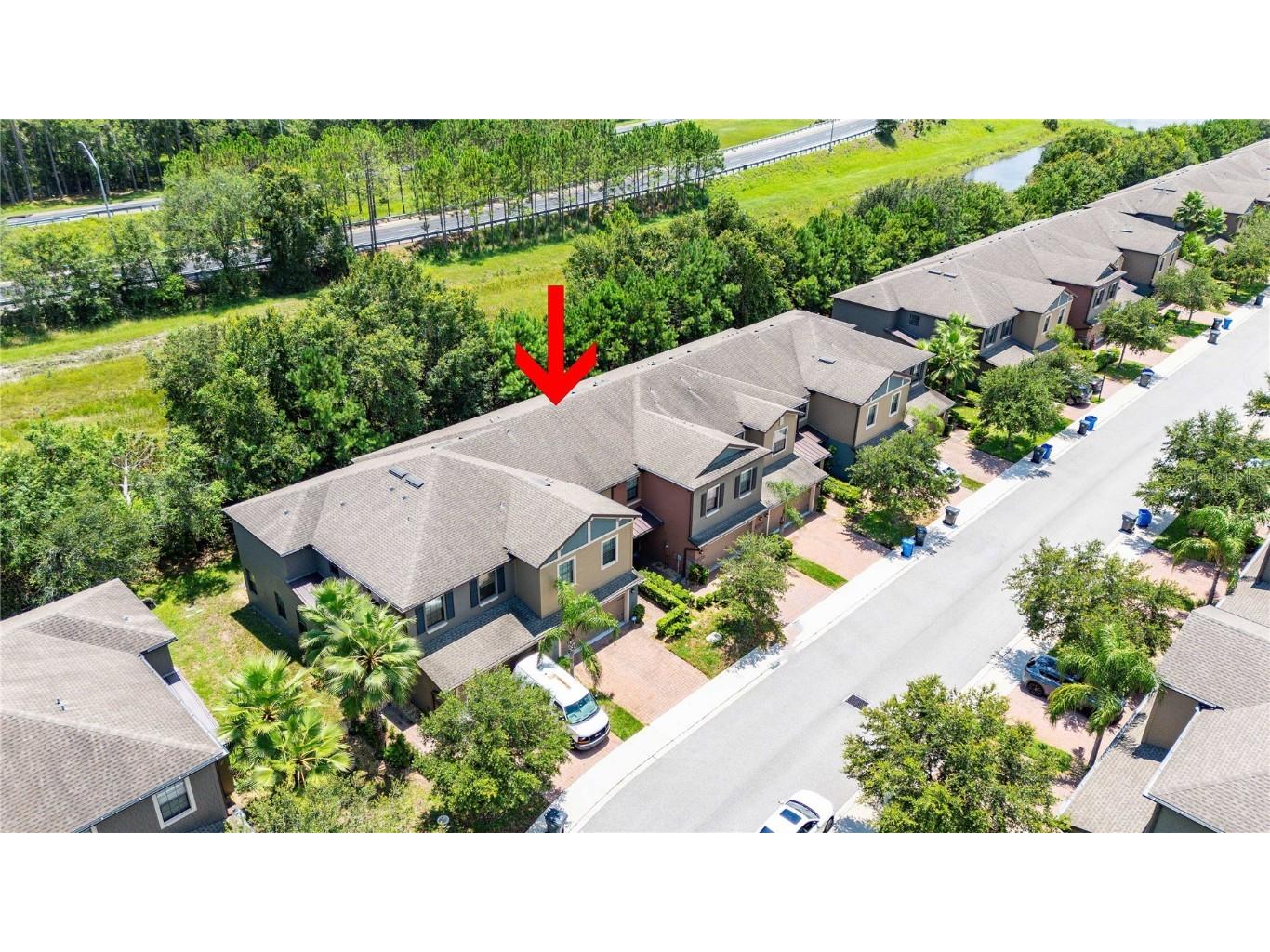 17365 Old Tobacco Road Lutz FL 33558 TB8412828 image43