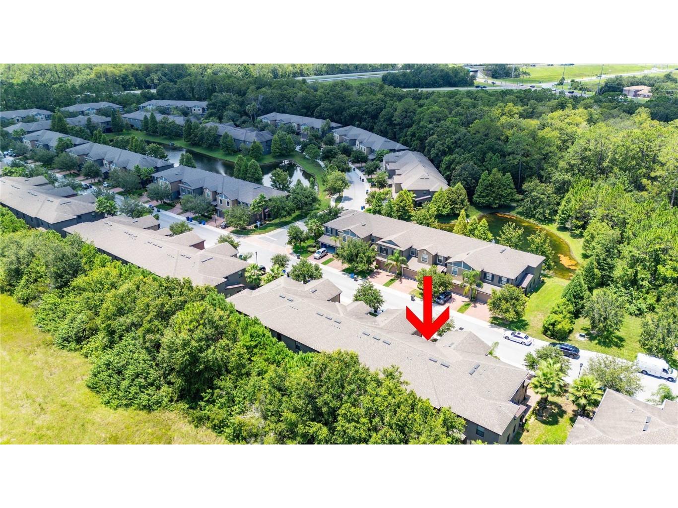 17365 Old Tobacco Road Lutz FL 33558 TB8412828 image44