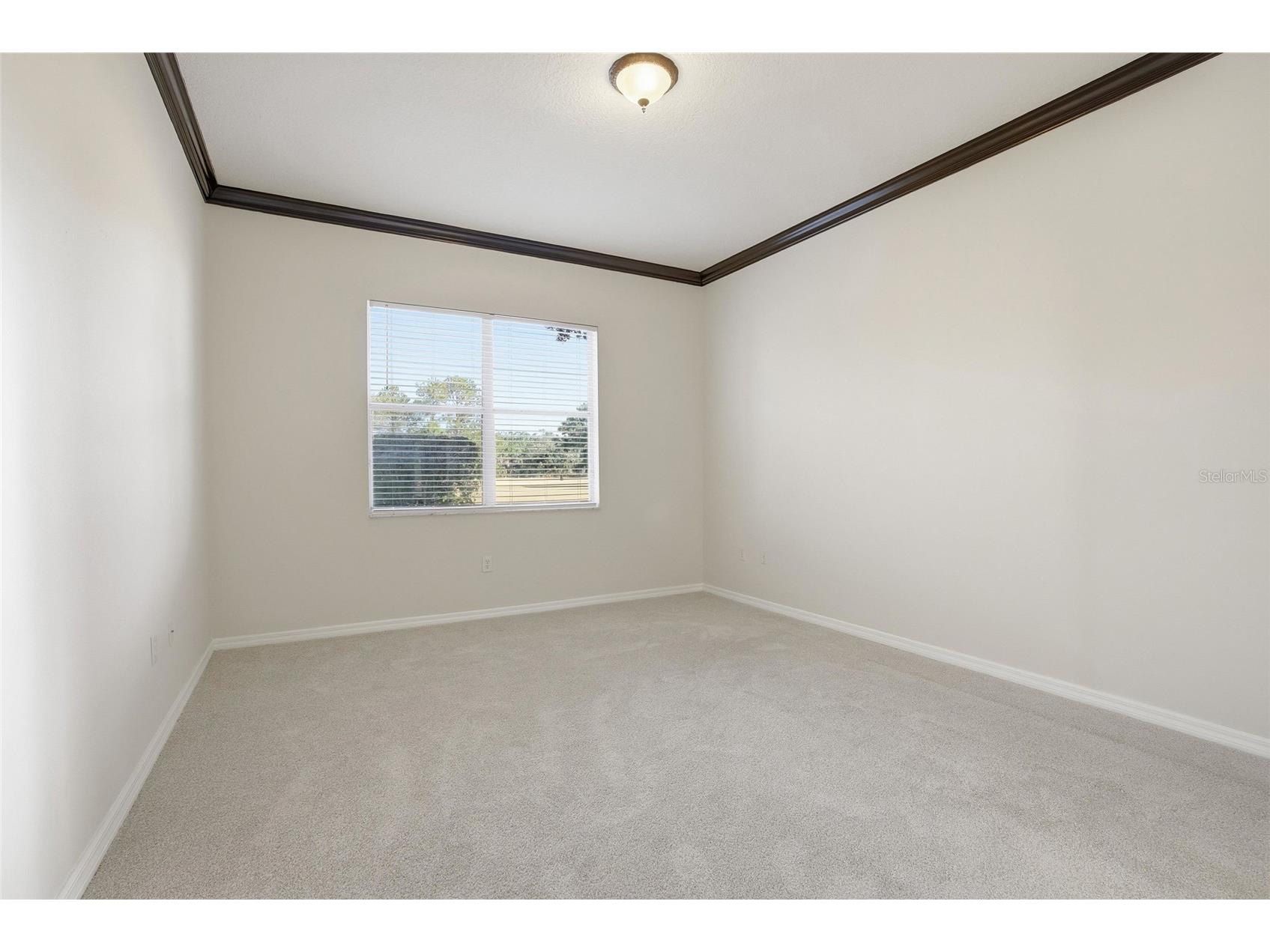 17367 Eagle Trace Drive Brooksville FL 34604 TB8447951 image13