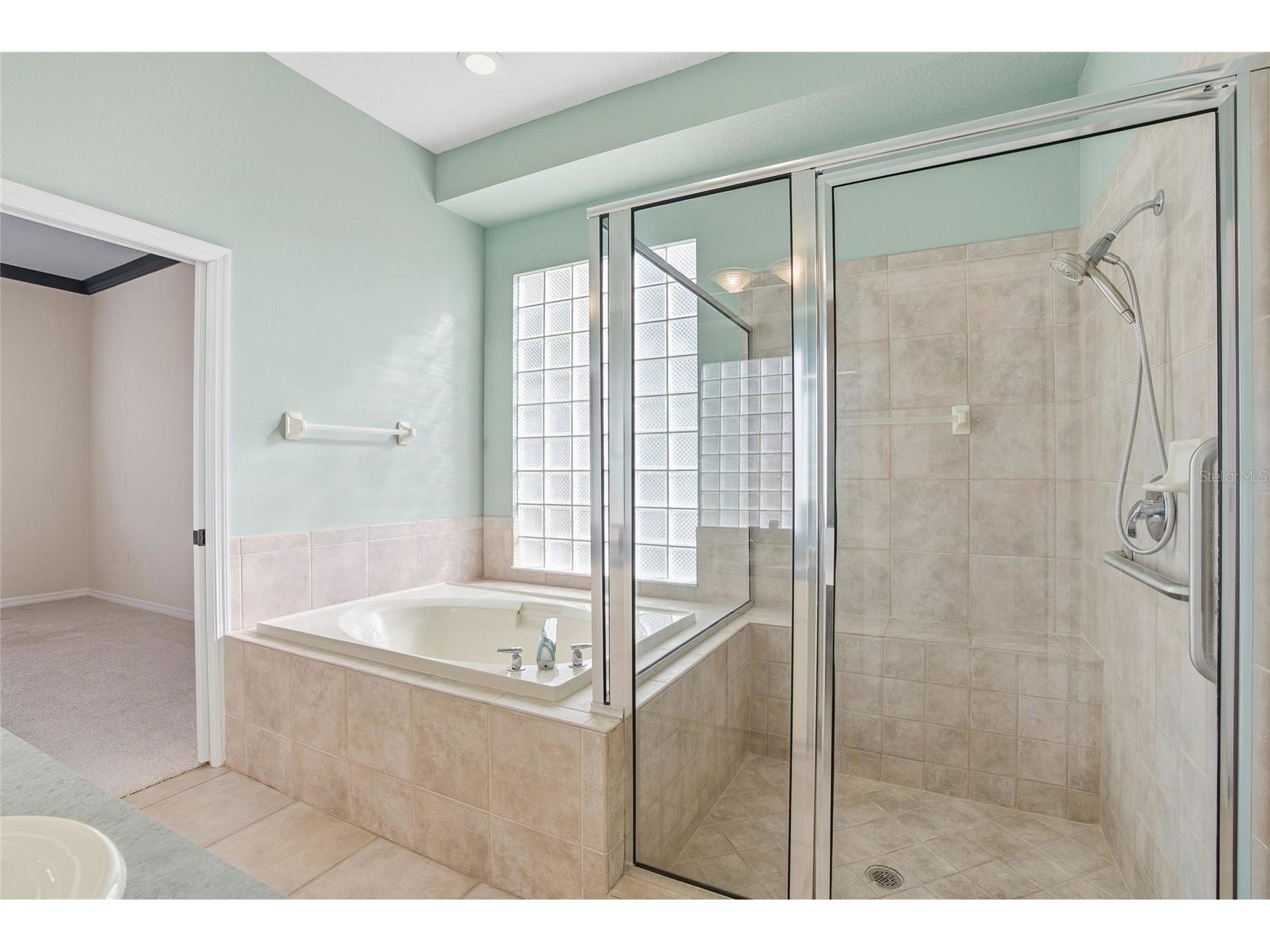 17367 Eagle Trace Drive Brooksville FL 34604 TB8447951 image15