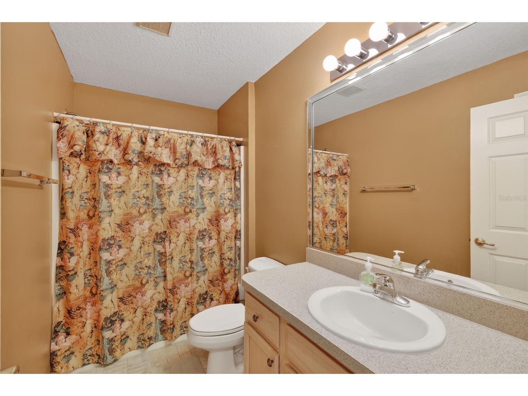 17369 SE 75th Coachman Court The Villages FL 32162 G5109548 image7