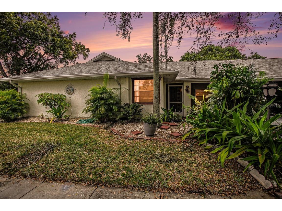 1737 Atrium Drive Sun City Center FL 33573 T3496447 image1