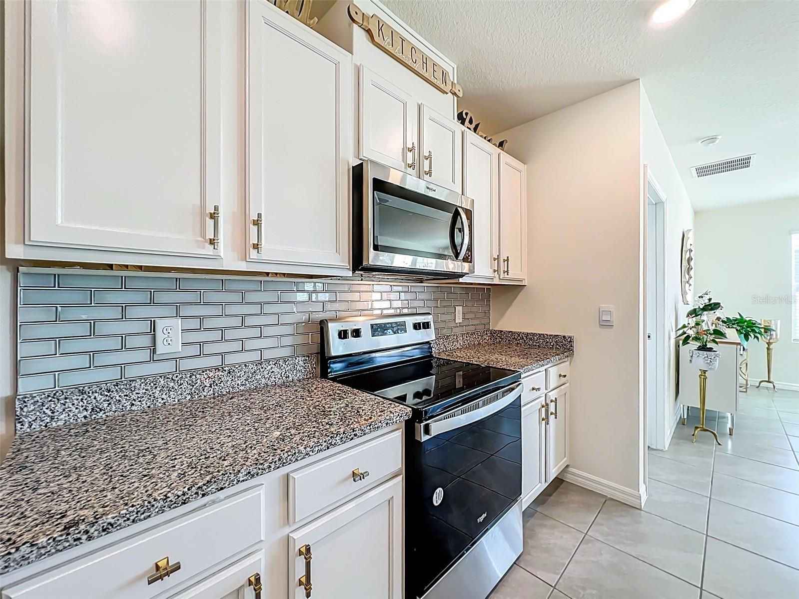 1737 Aurora Ridge Drive Zellwood FL 32798 O6385545 image25