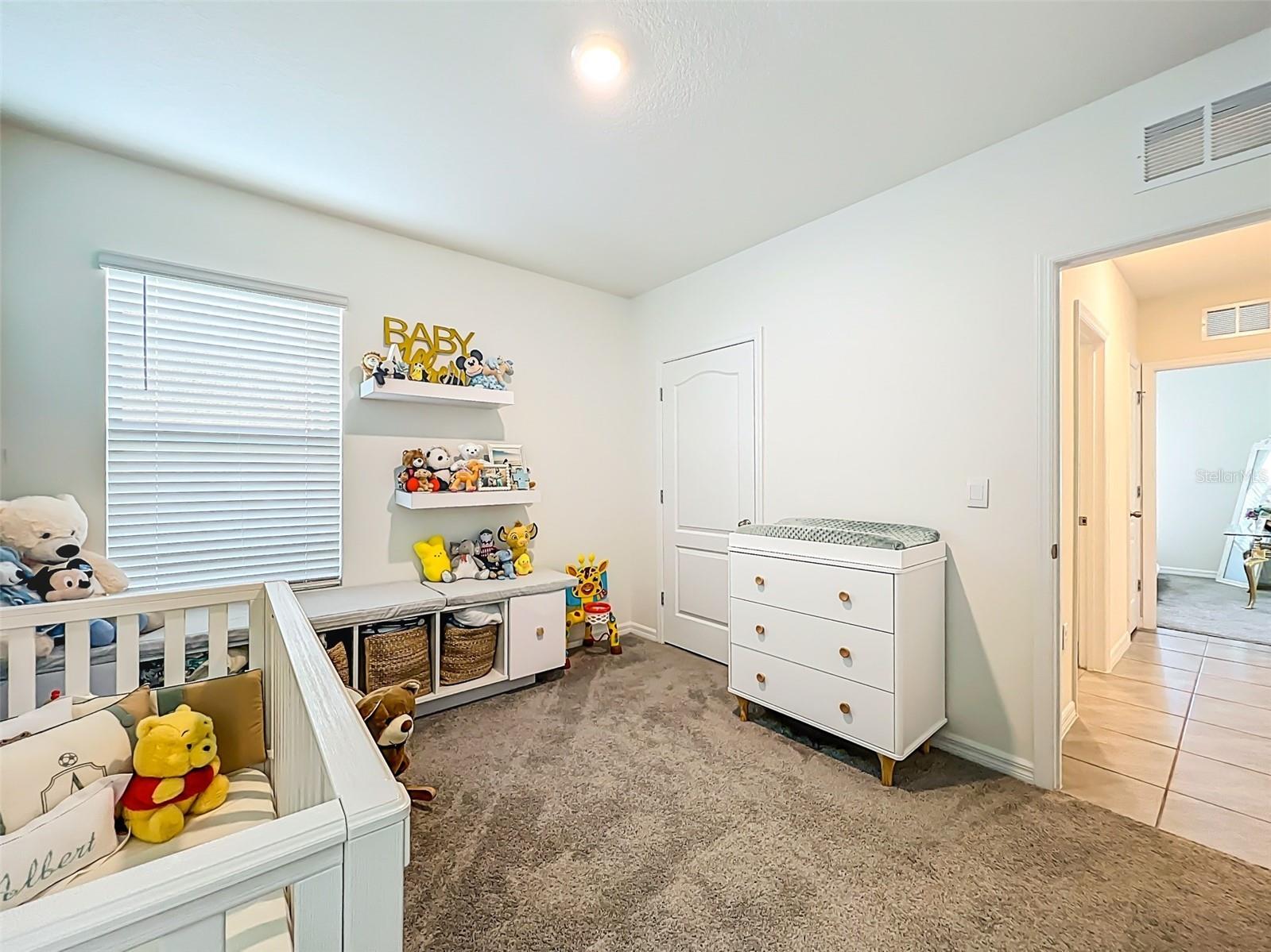 1737 Aurora Ridge Drive Zellwood FL 32798 O6385545 image44