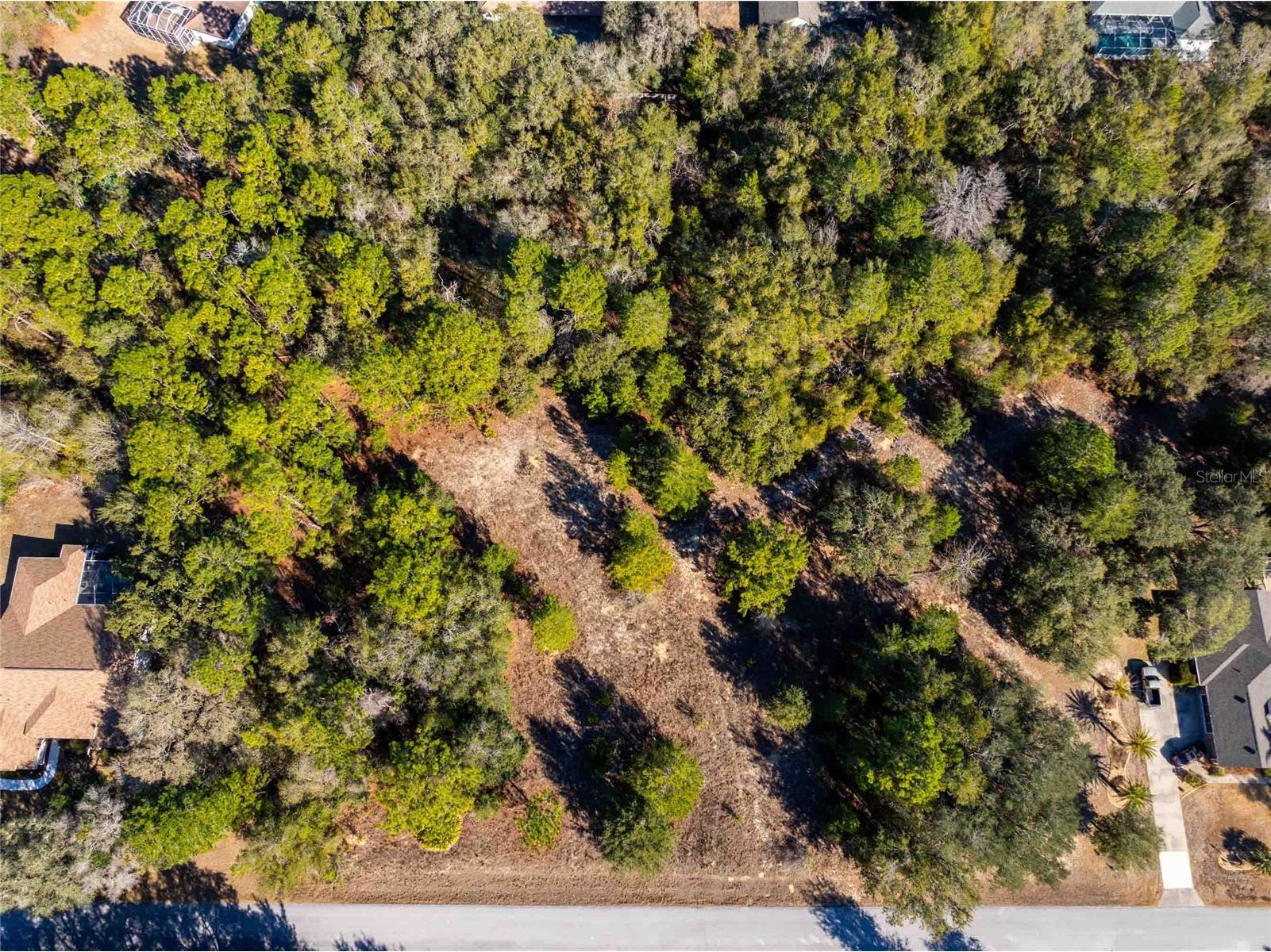 1737 E Westgate Lane Hernando FL 34442 TB8474513 image1