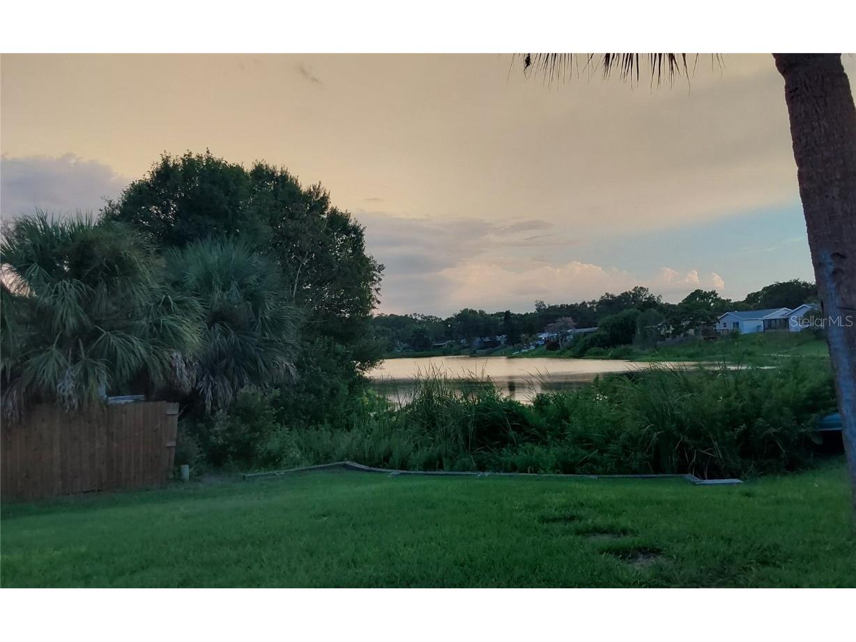 1737 Solon Avenue Dunedin FL 34698 - SCOTS LAKE TB8408036 image15