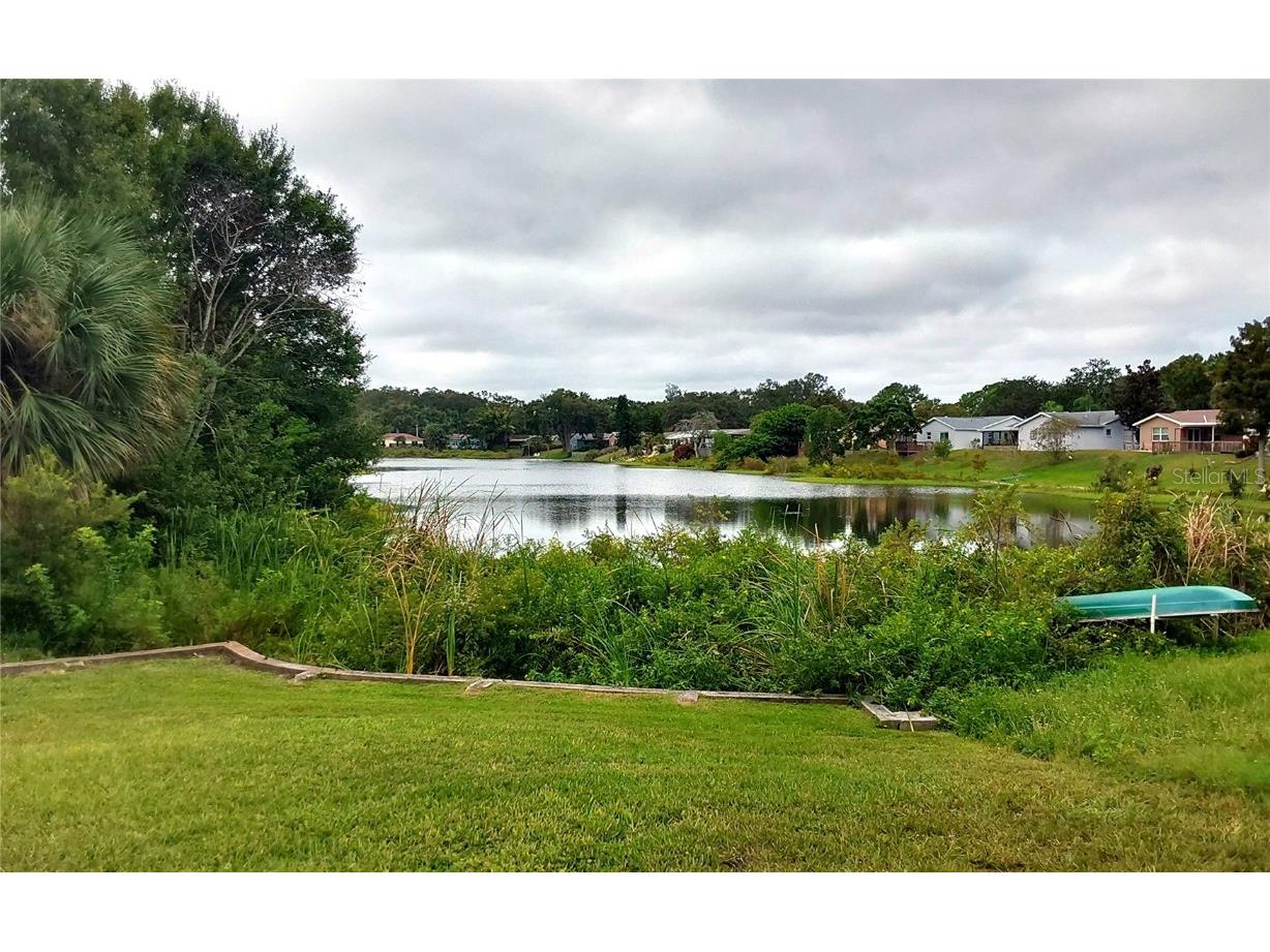 1737 Solon Avenue Dunedin FL 34698 - SCOTS LAKE TB8408036 image19