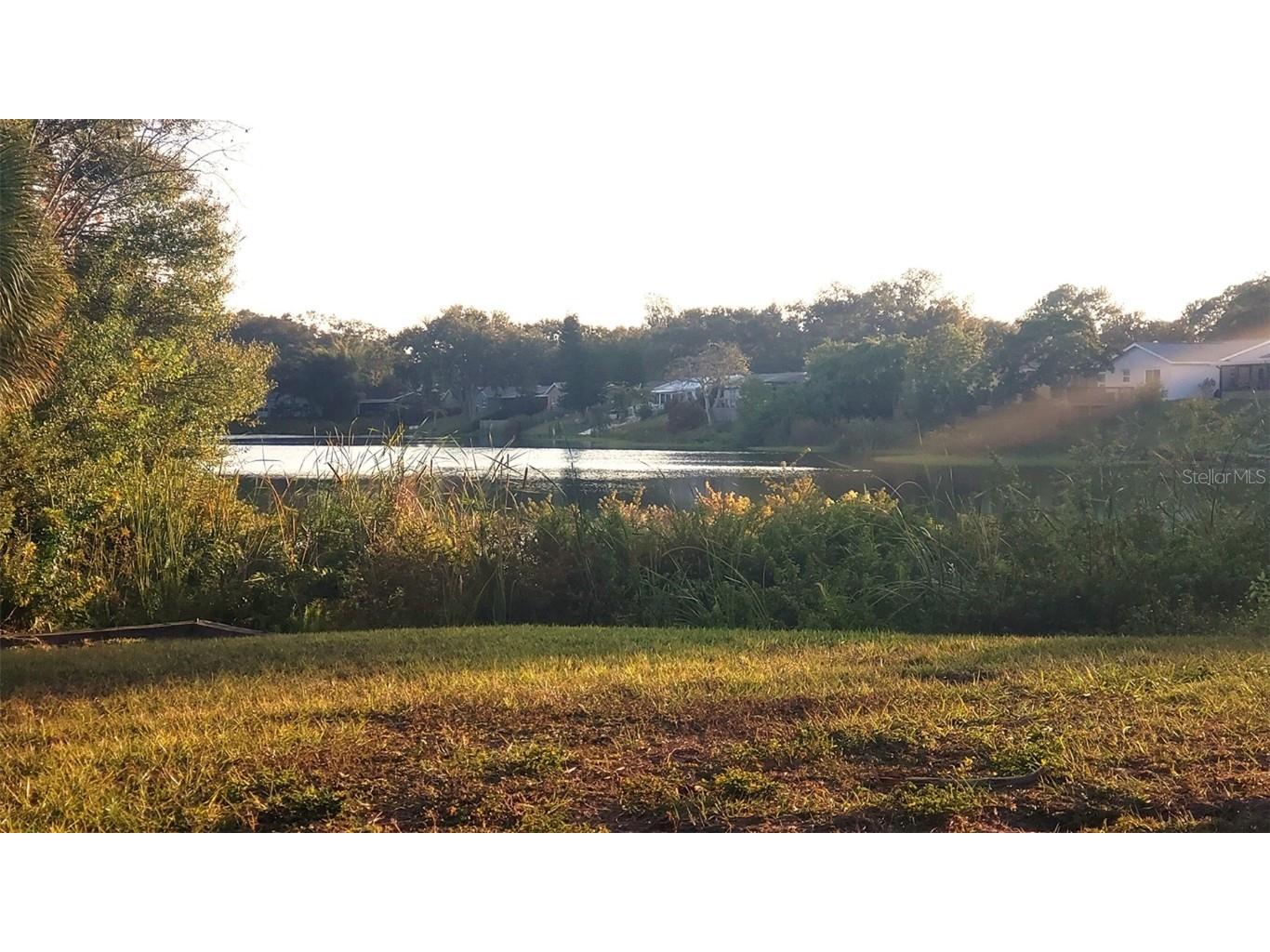 1737 Solon Avenue Dunedin FL 34698 - SCOTS LAKE TB8408036 image21