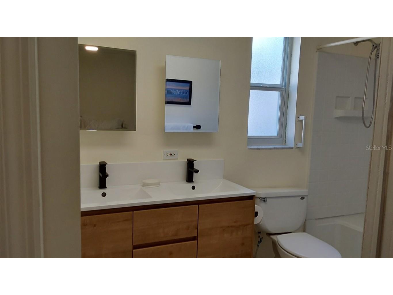 1737 Solon Avenue Dunedin FL 34698 - SCOTS LAKE TB8408036 image24