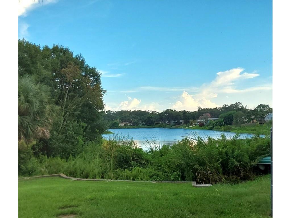 1737 Solon Avenue Dunedin FL 34698 - SCOTS LAKE TB8408036 image5