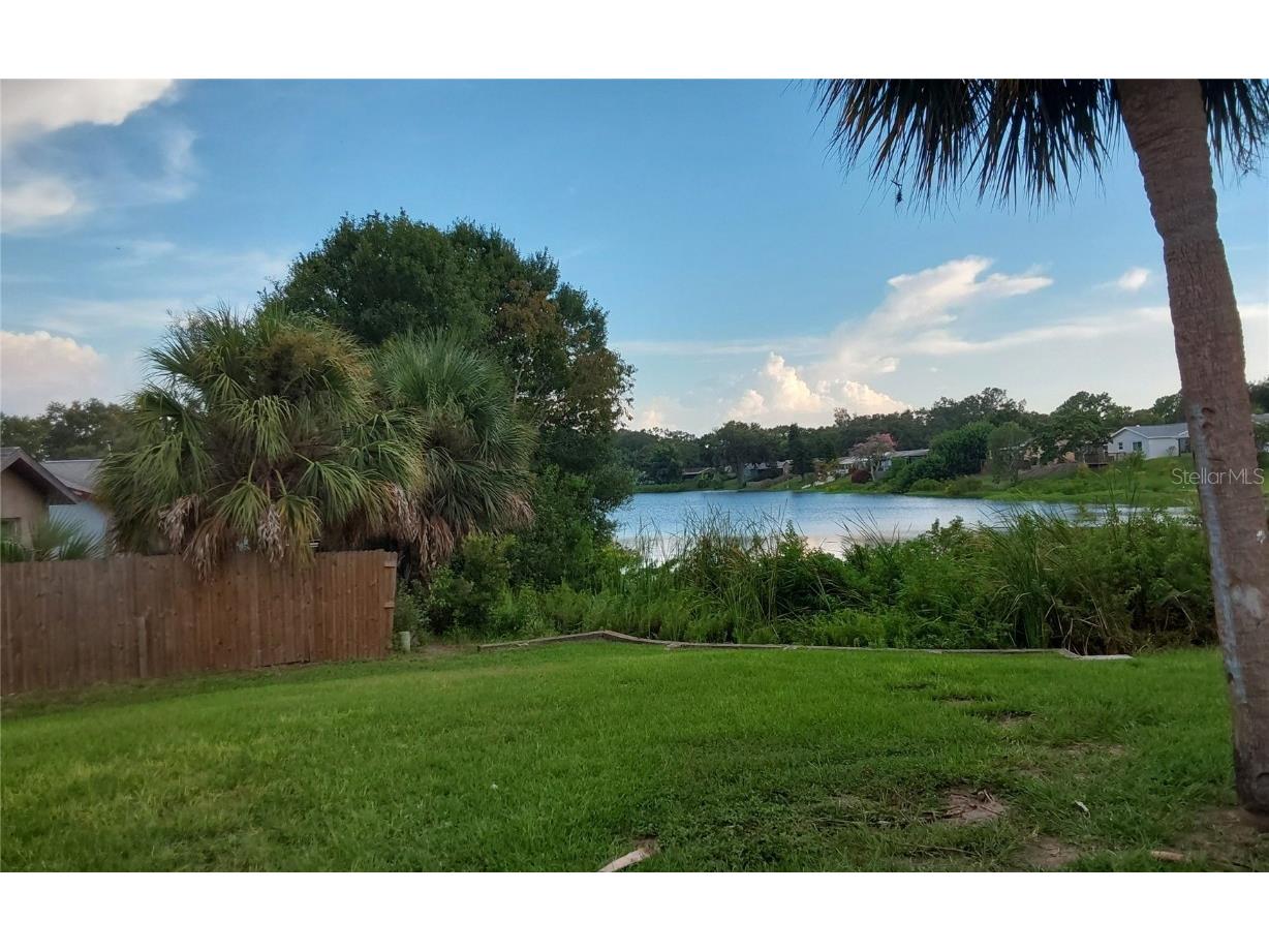 1737 Solon Avenue Dunedin FL 34698 - SCOTS LAKE TB8408036 image8
