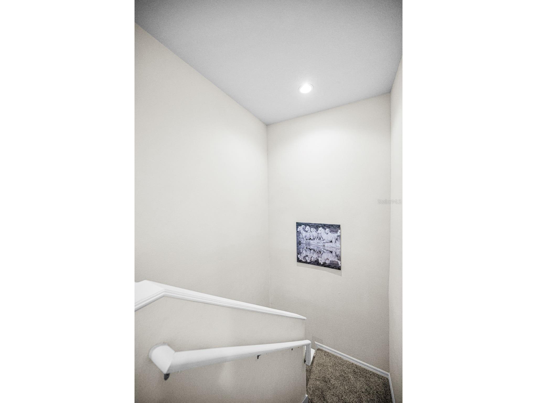 1737 Sommarie Way Tarpon Springs FL 34689 TB8511507 image19