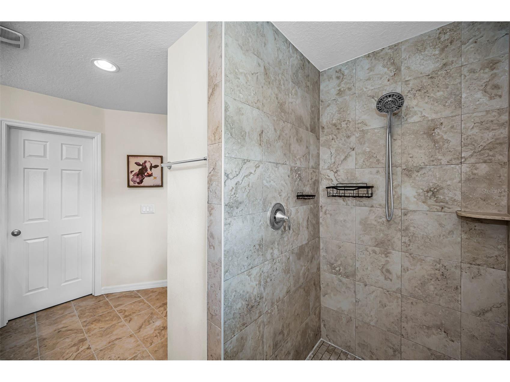 1737 Sommarie Way Tarpon Springs FL 34689 TB8511507 image27