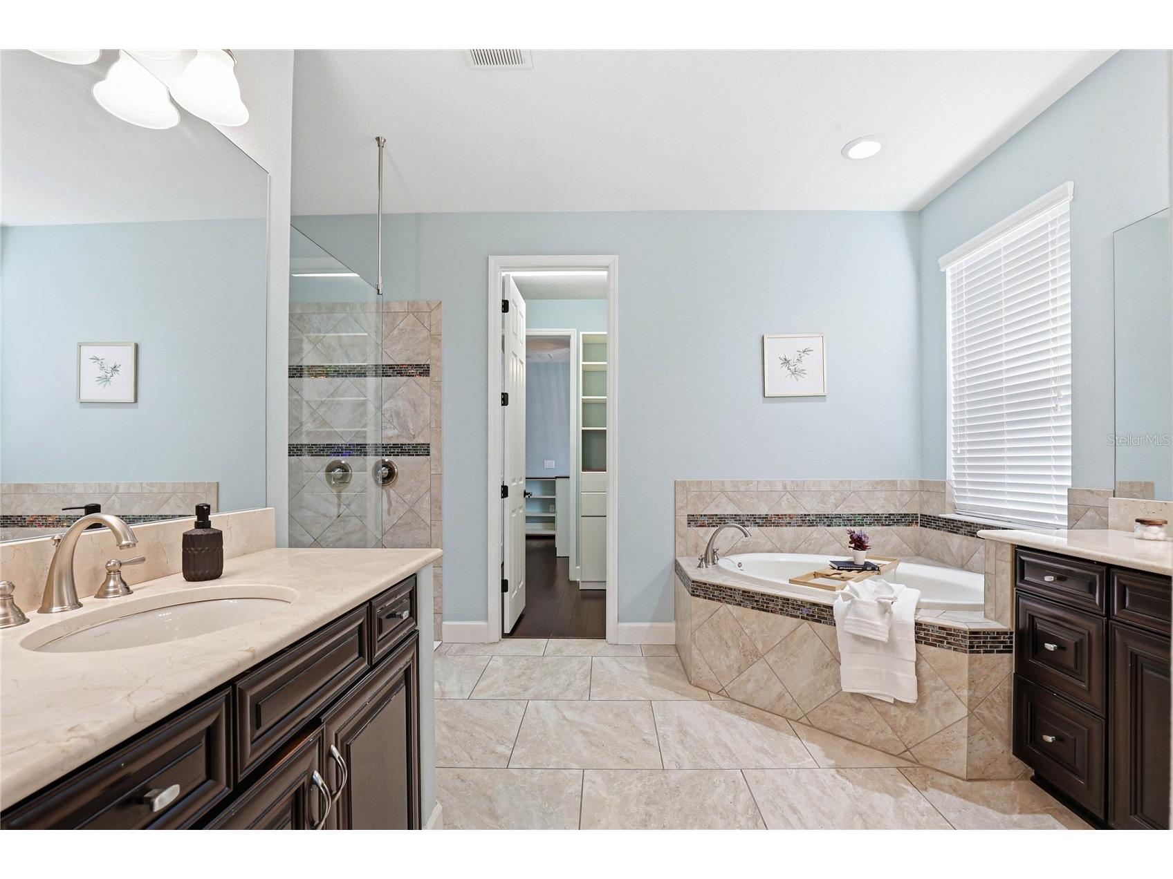 1737 Virginia Willow Drive Wesley Chapel FL 33544 TB8494199 image37