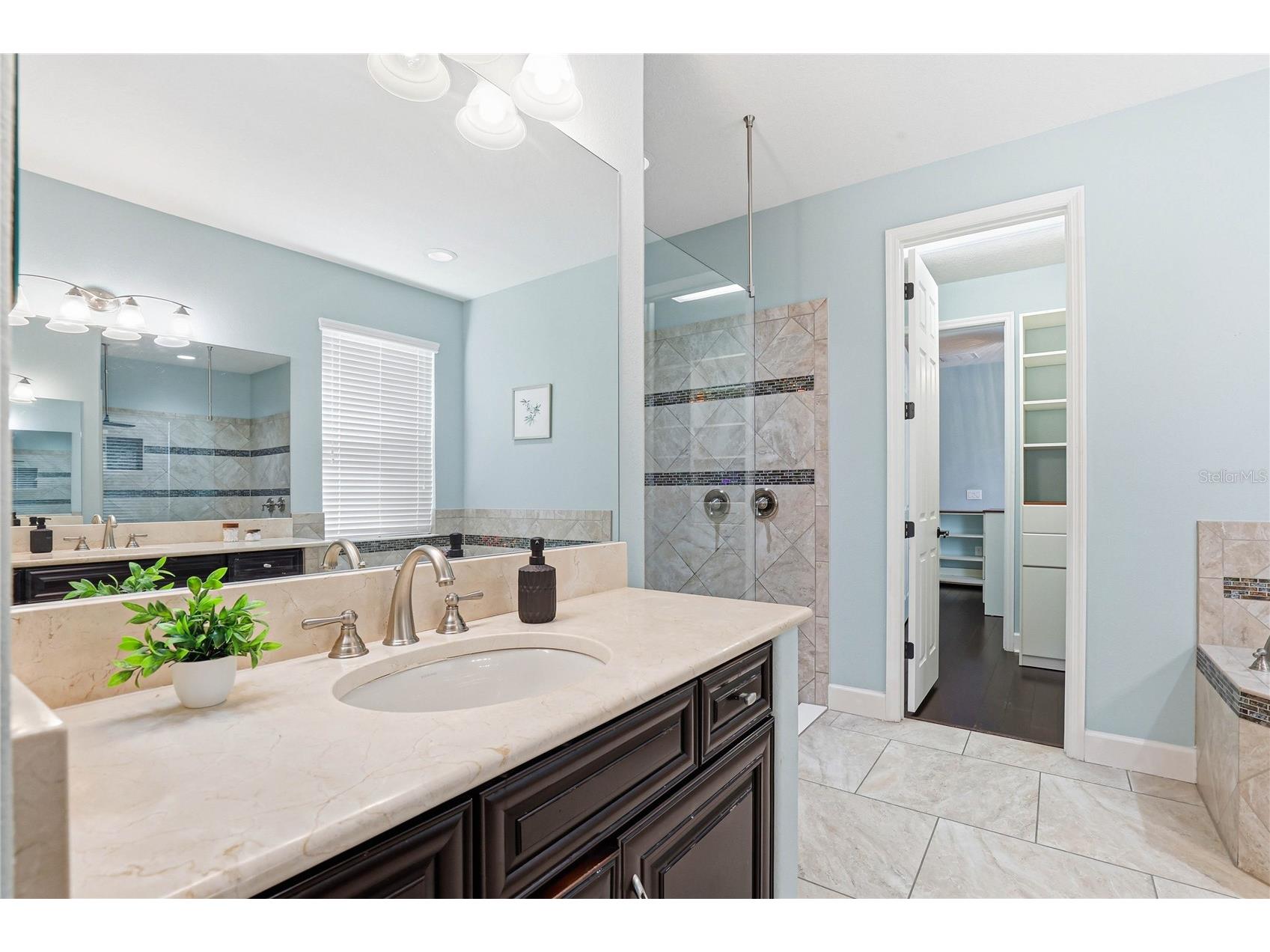 1737 Virginia Willow Drive Wesley Chapel FL 33544 TB8494199 image38