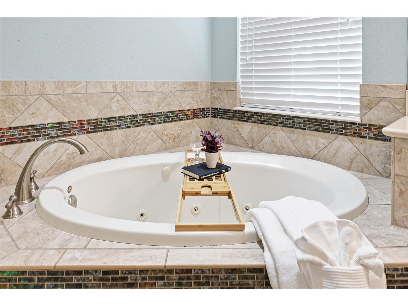 1737 Virginia Willow Drive Wesley Chapel FL 33544 TB8494199 image42