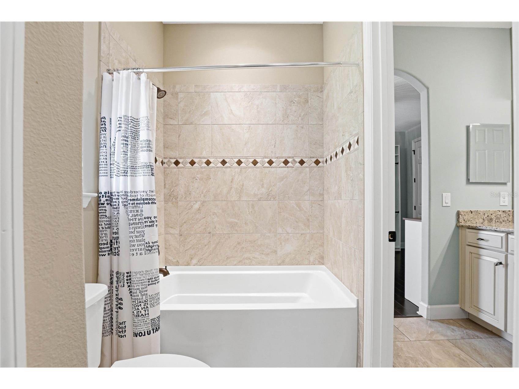 1737 Virginia Willow Drive Wesley Chapel FL 33544 TB8494199 image51