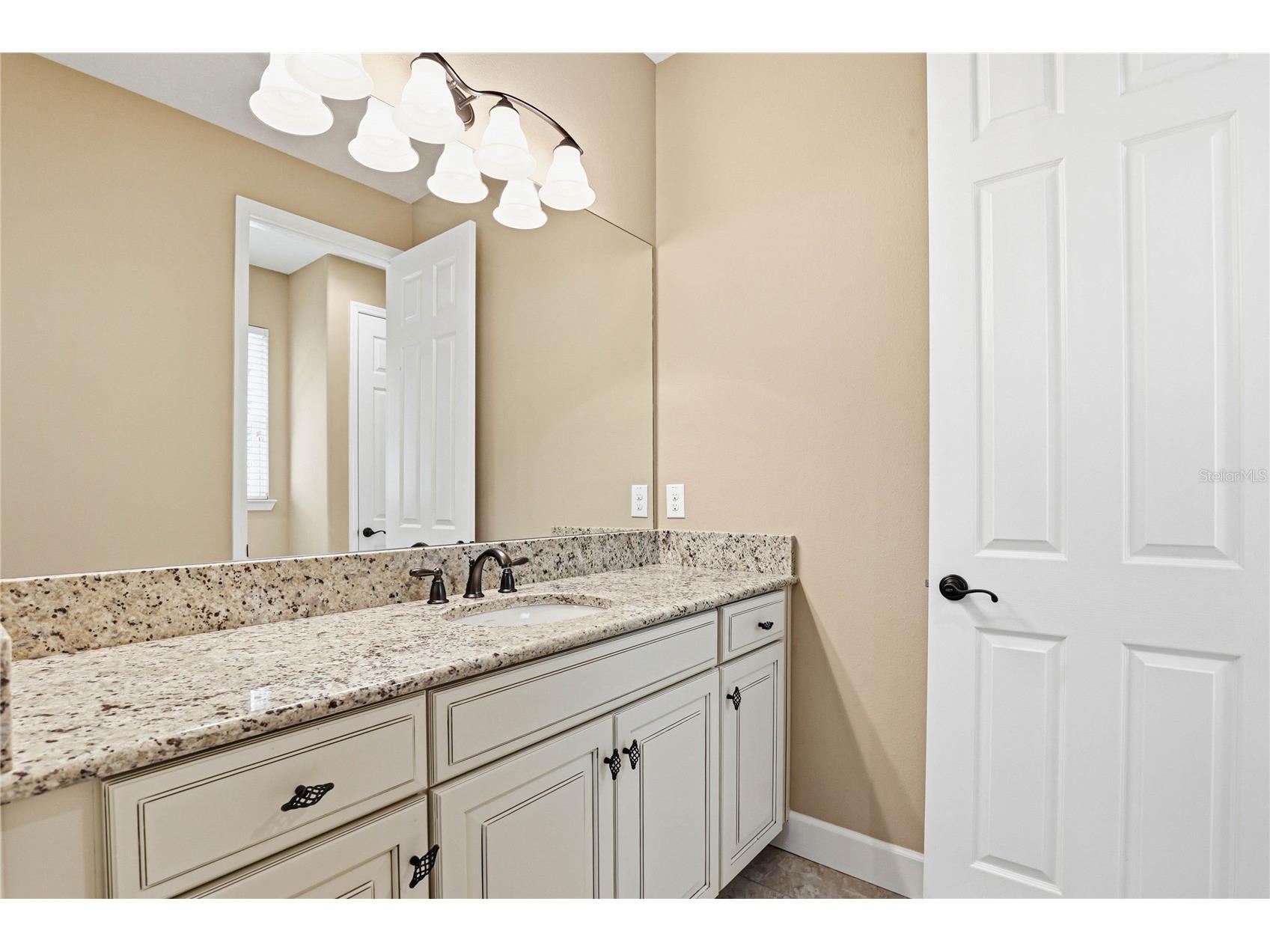 1737 Virginia Willow Drive Wesley Chapel FL 33544 TB8494199 image53