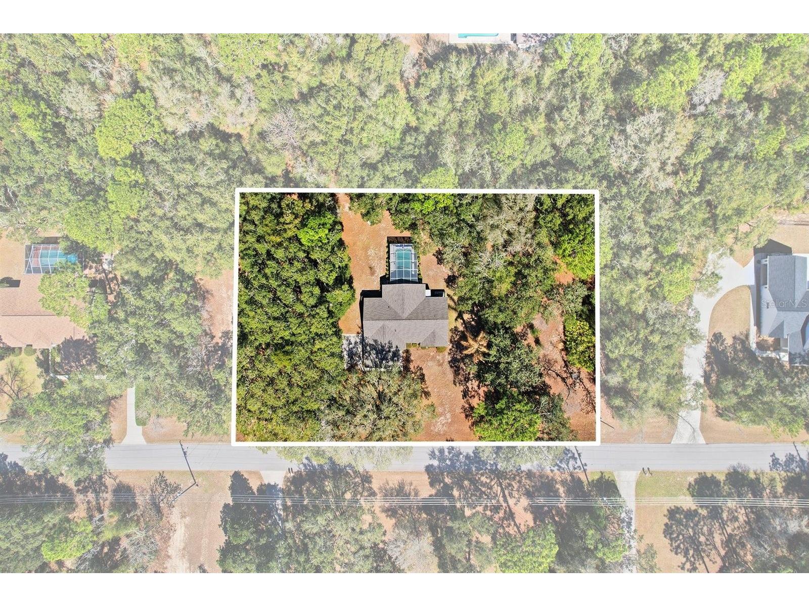 1737 W Olympia Street Hernando FL 34442 OM719638 image4