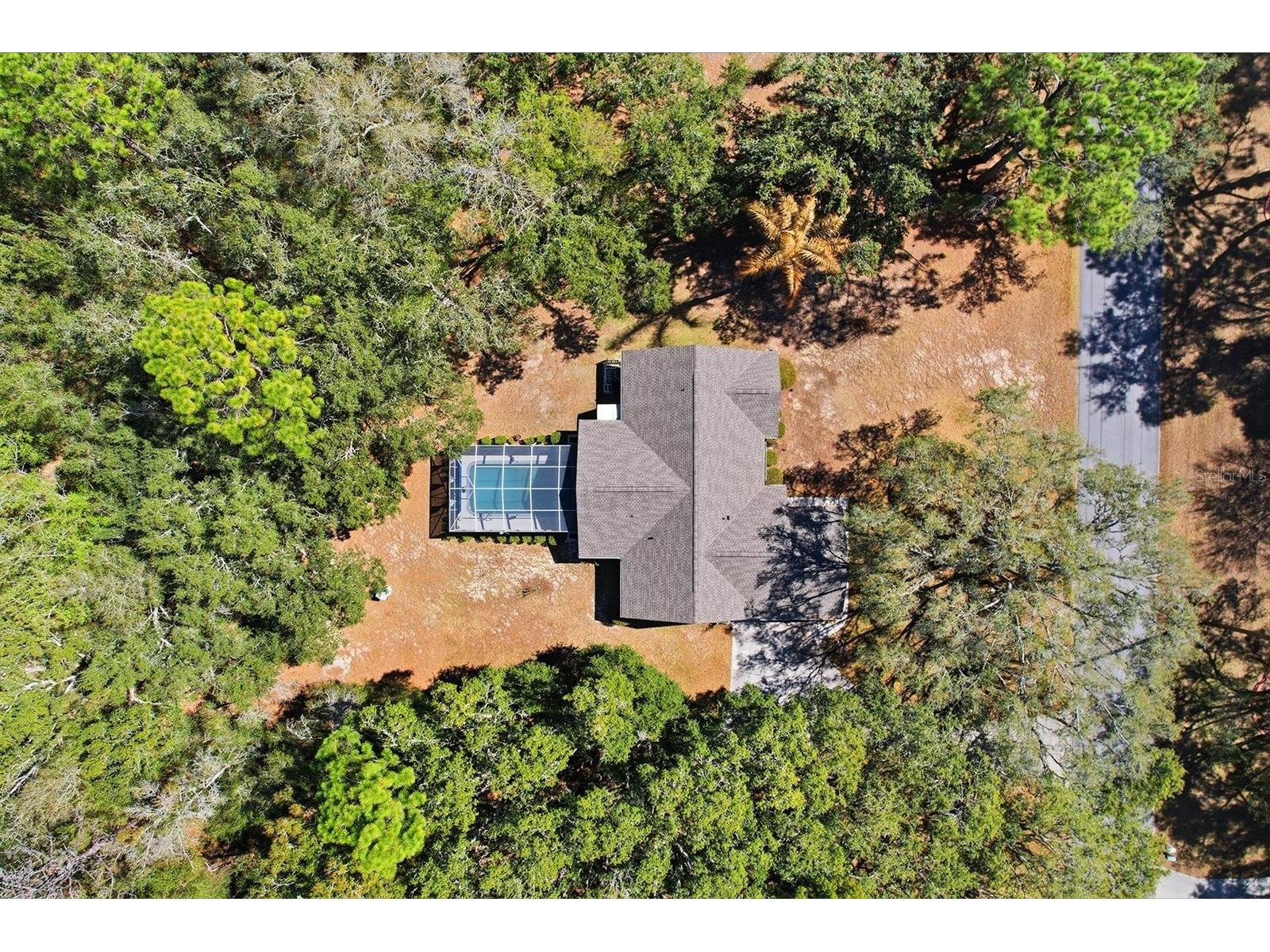 1737 W Olympia Street Hernando FL 34442 OM719638 image47
