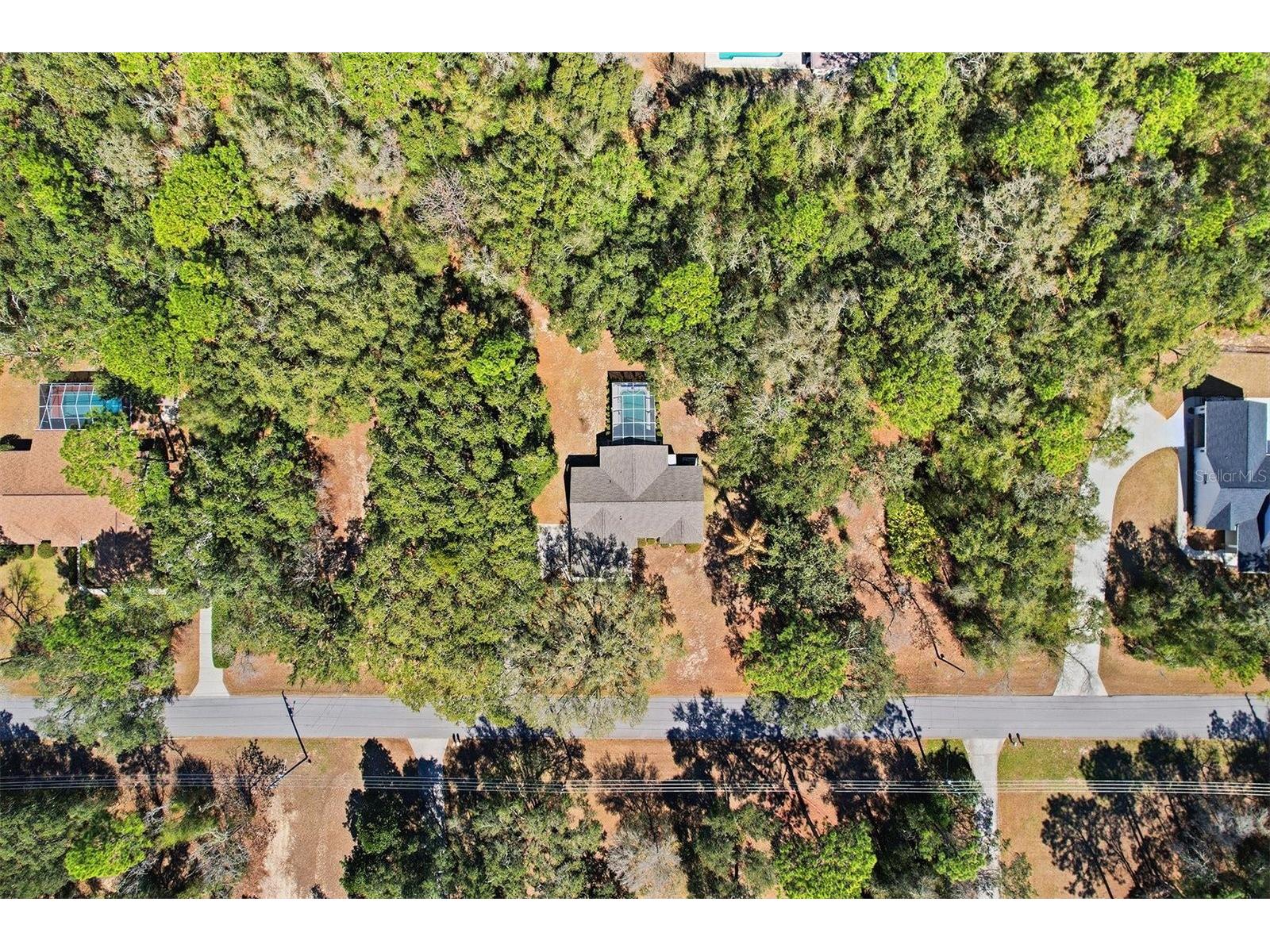 1737 W Olympia Street Hernando FL 34442 OM719638 image48