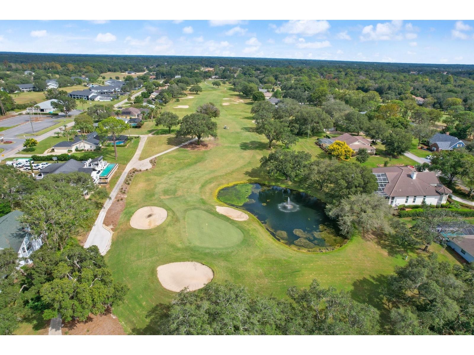 1737 W Olympia Street Hernando FL 34442 OM719638 image5