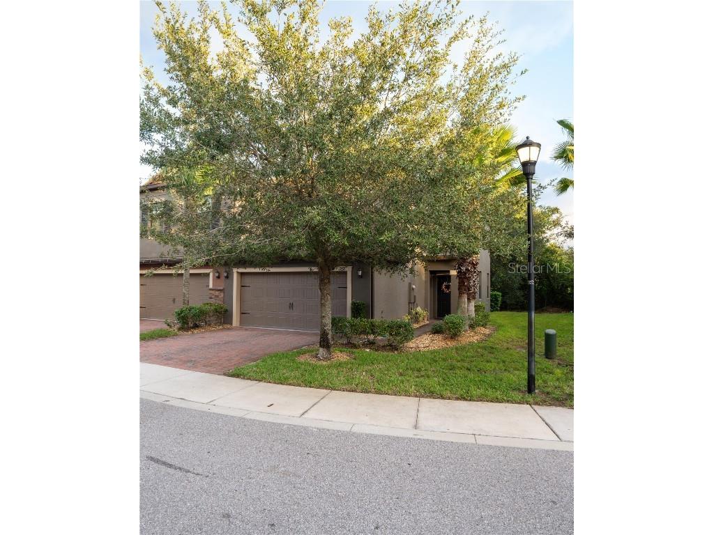 17371 Old Tobacco Road Lutz FL 33558 TB8437903 image1