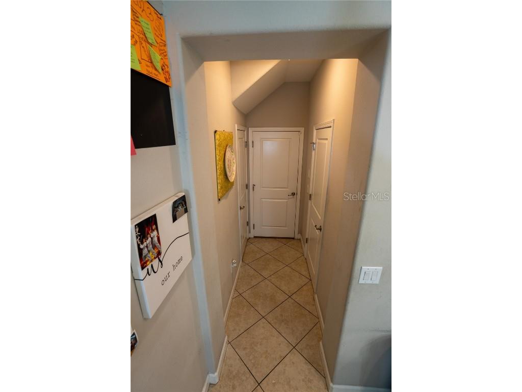 17371 Old Tobacco Road Lutz FL 33558 TB8437903 image14