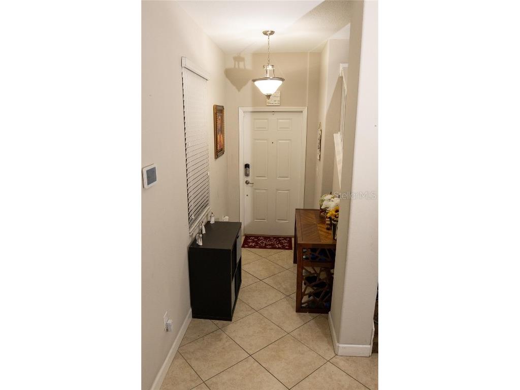 17371 Old Tobacco Road Lutz FL 33558 TB8437903 image18