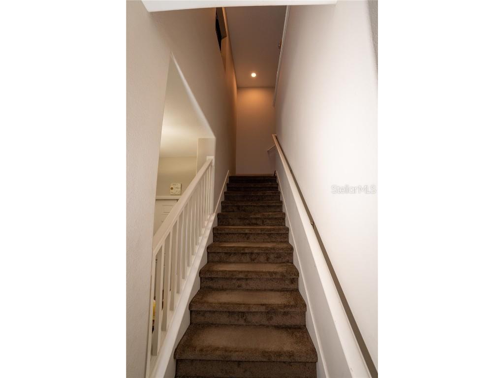 17371 Old Tobacco Road Lutz FL 33558 TB8437903 image20