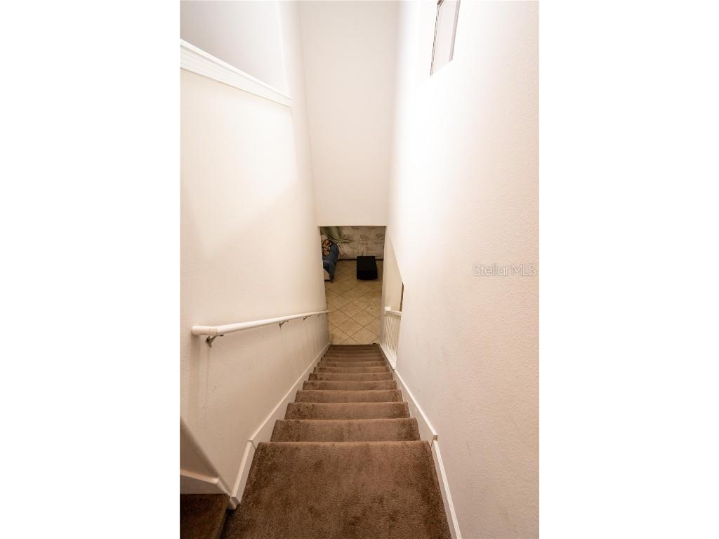 17371 Old Tobacco Road Lutz FL 33558 TB8437903 image23