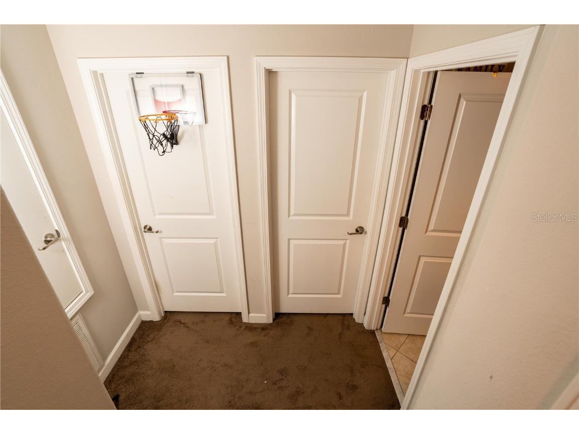 17371 Old Tobacco Road Lutz FL 33558 TB8437903 image24