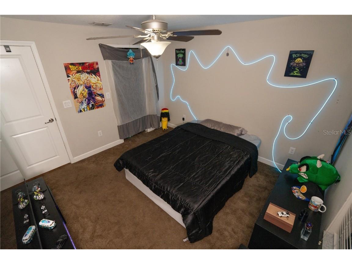 17371 Old Tobacco Road Lutz FL 33558 TB8437903 image28