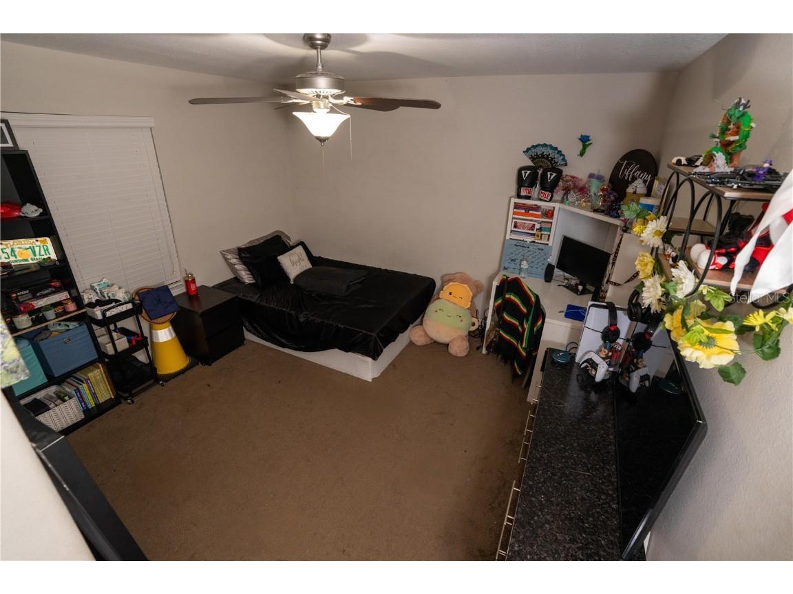 17371 Old Tobacco Road Lutz FL 33558 TB8437903 image29