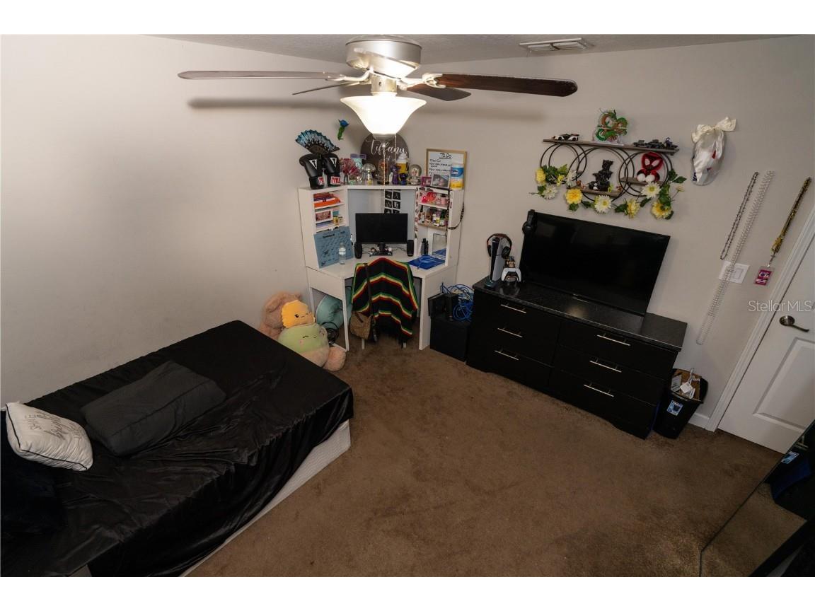 17371 Old Tobacco Road Lutz FL 33558 TB8437903 image30