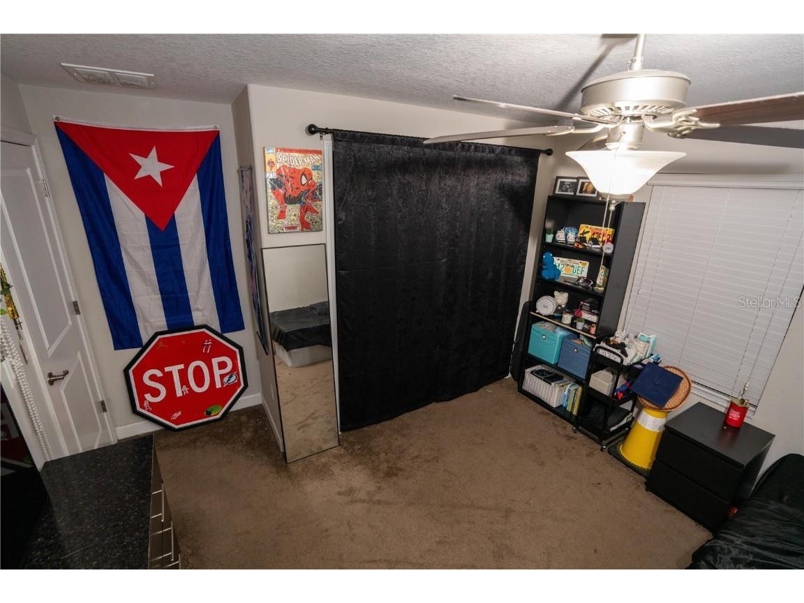 17371 Old Tobacco Road Lutz FL 33558 TB8437903 image31