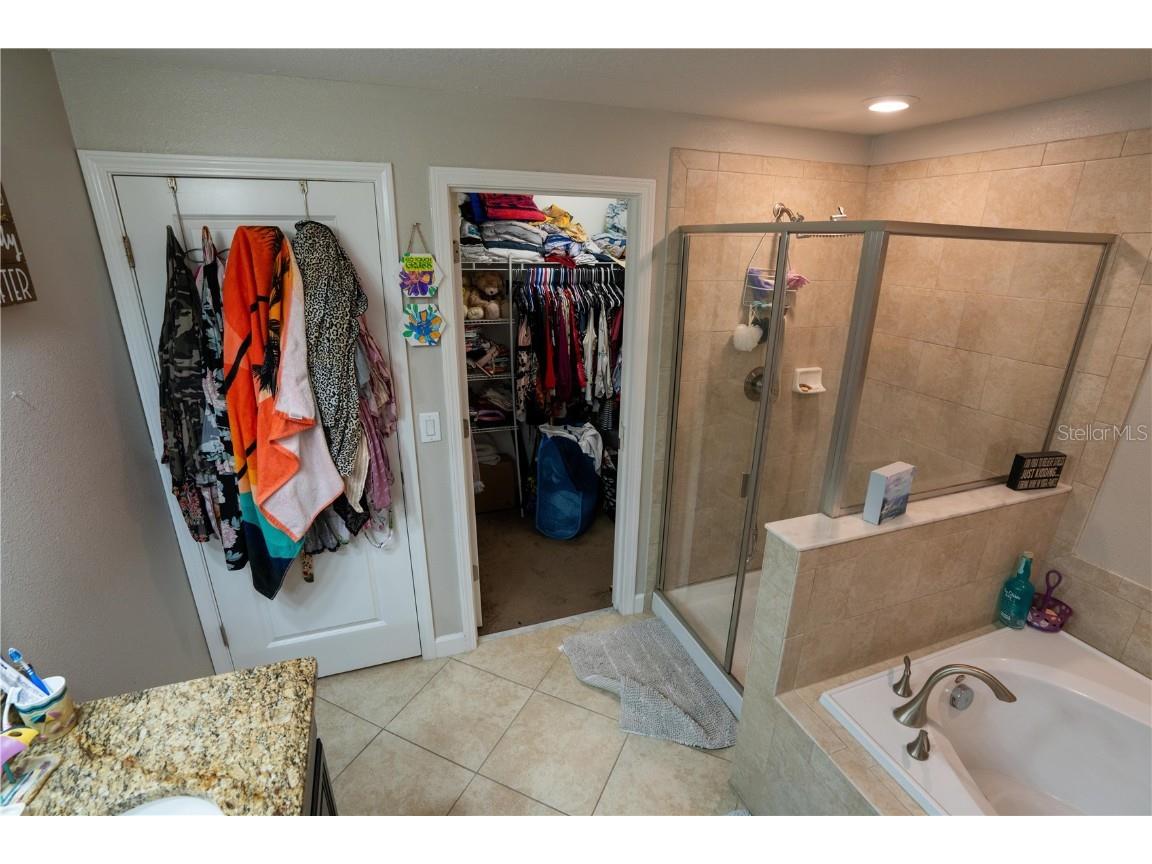 17371 Old Tobacco Road Lutz FL 33558 TB8437903 image35