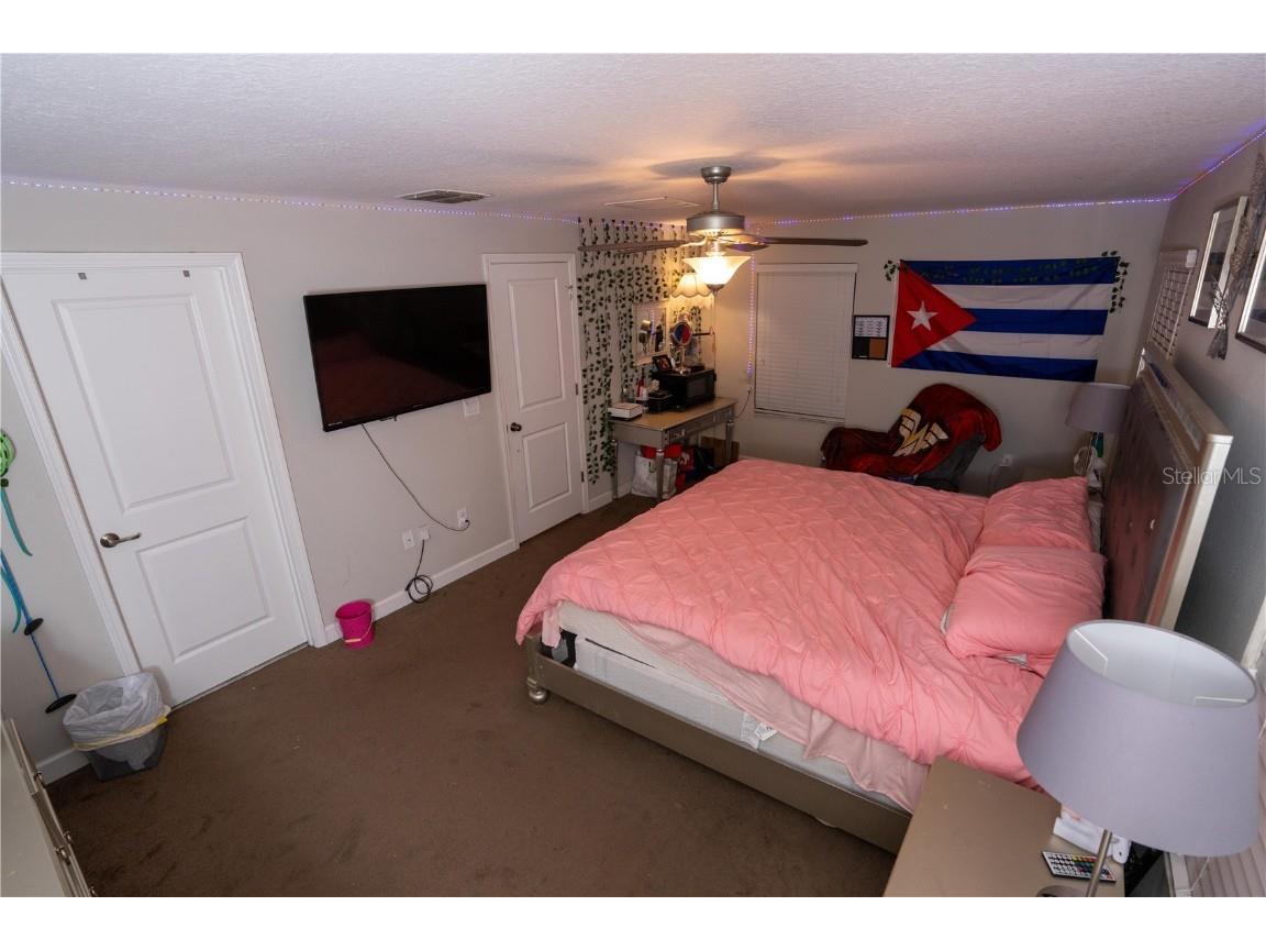 17371 Old Tobacco Road Lutz FL 33558 TB8437903 image36