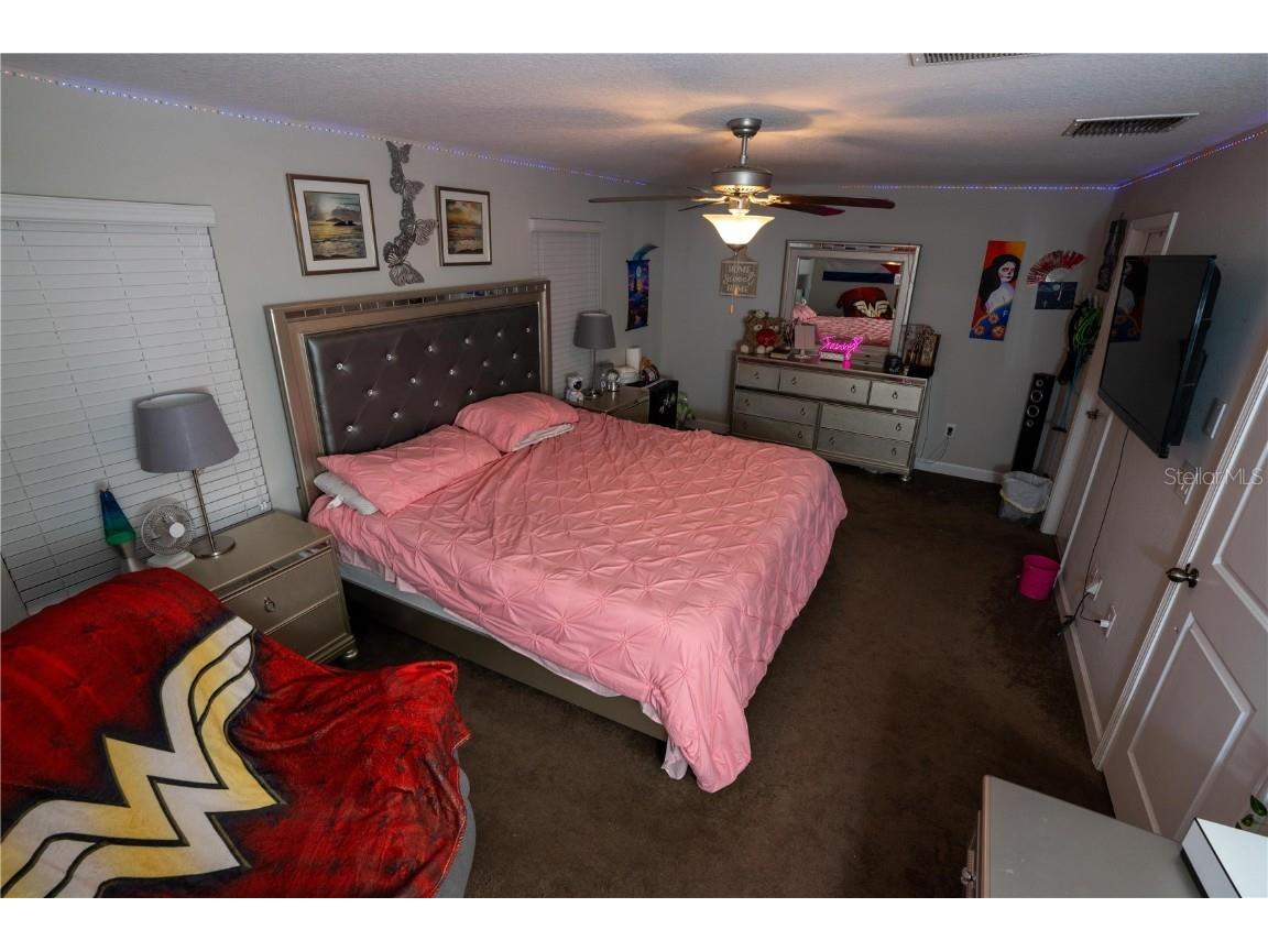 17371 Old Tobacco Road Lutz FL 33558 TB8437903 image37