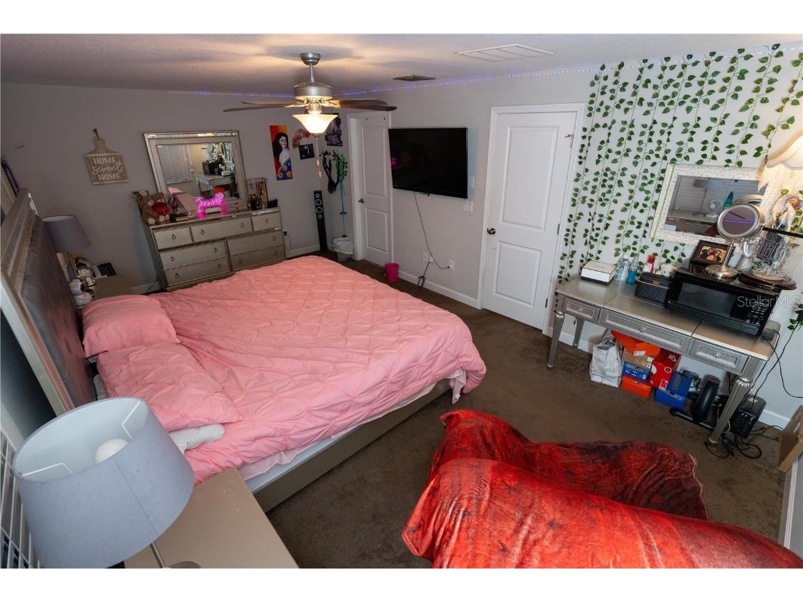 17371 Old Tobacco Road Lutz FL 33558 TB8437903 image38